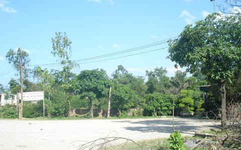 20110517102153_2.jpg