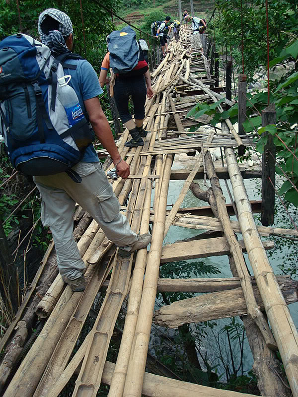 DSC08238-1.jpg