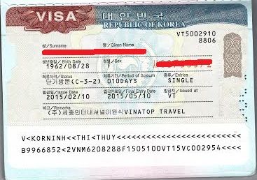 0b696a803cc92a72964fd6ec460ca926--visa.jpg