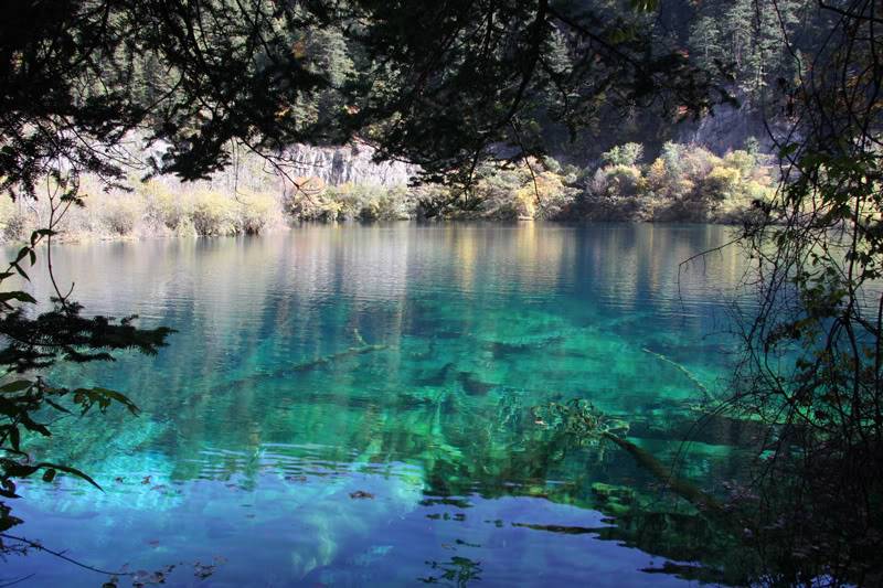 chuongvang6-toan.jpg