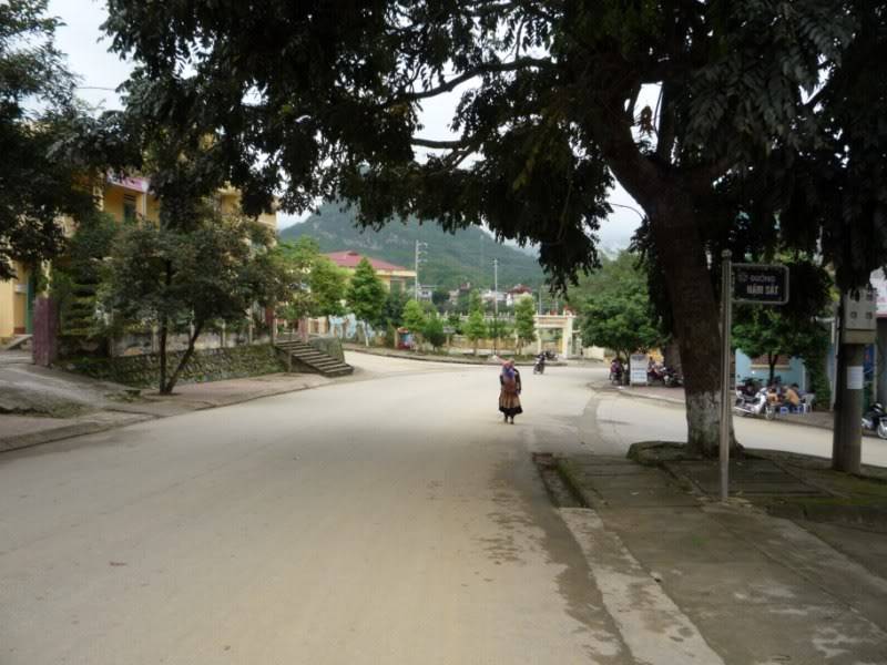 P1020260800x600.jpg