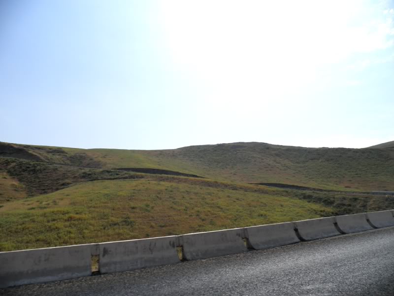 P7313350.jpg