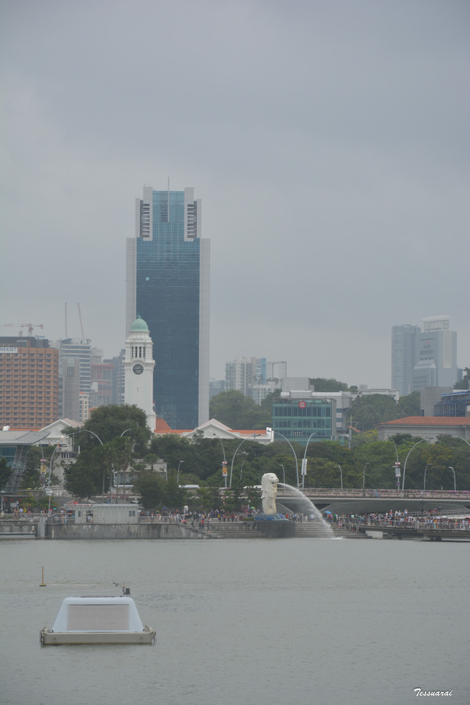 DSC_0344.jpg