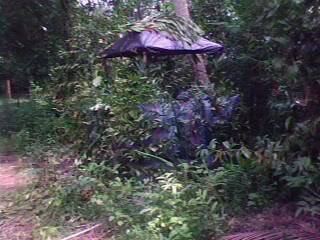 IMG0026A.jpg