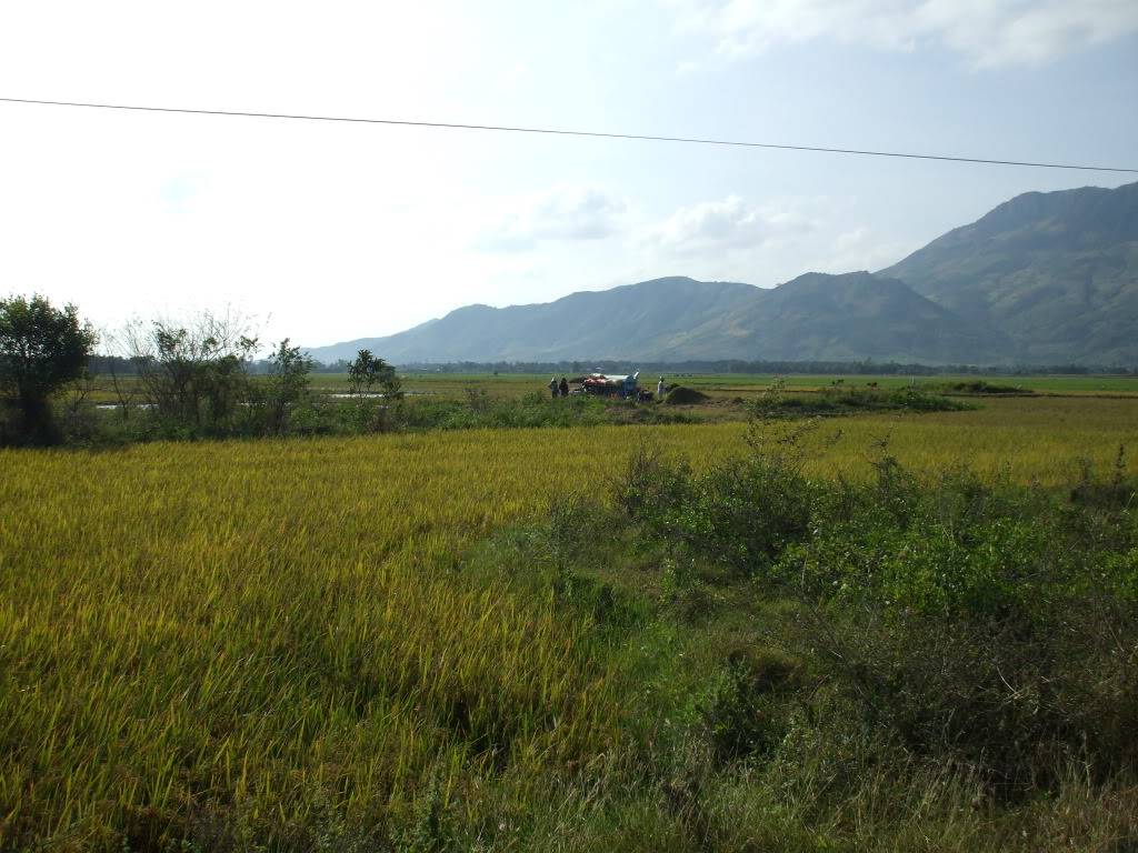 DSCF41901.jpg
