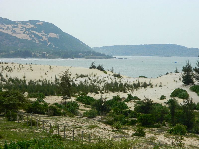 DSCN2089.jpg