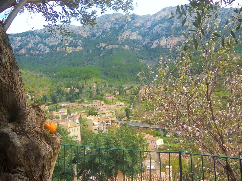 DSCN6210.jpg