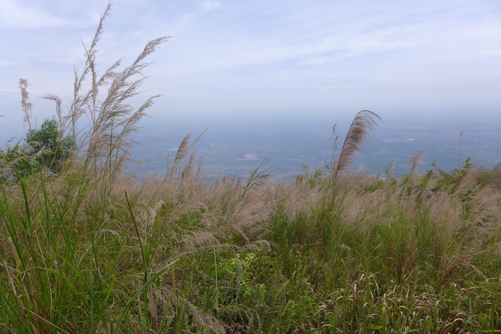 P1000705.JPG
