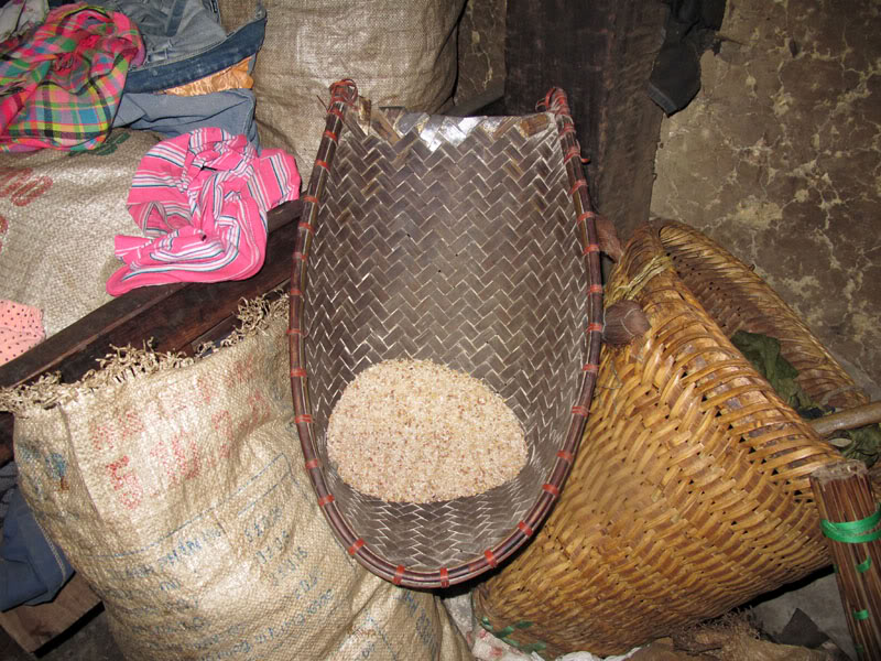 HongNgai2011609.jpg