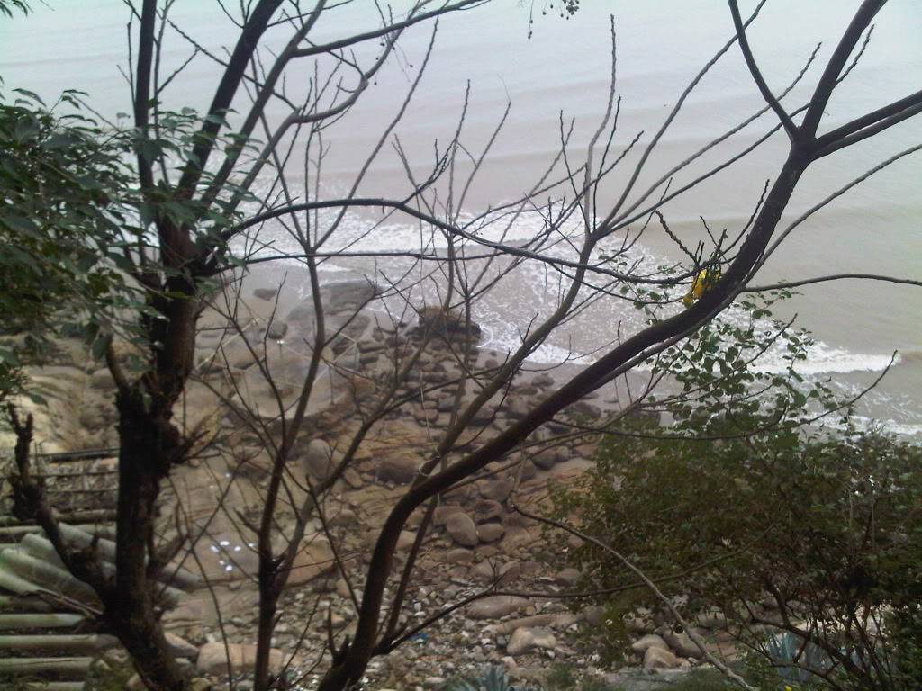 IMG-20120126-00070.jpg