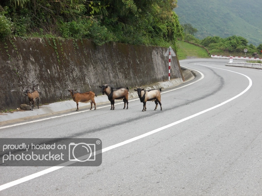 haivan_pass63_zps28eae641.jpg