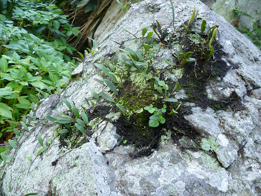 P1070295_zps334d6c14.jpg