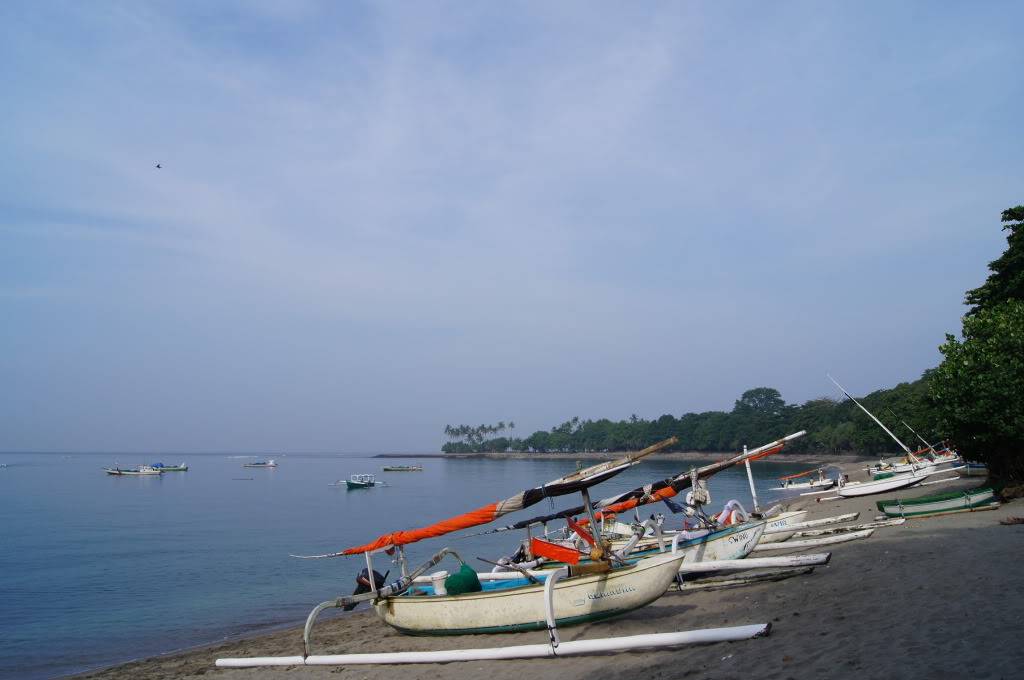 DSC00911.jpg