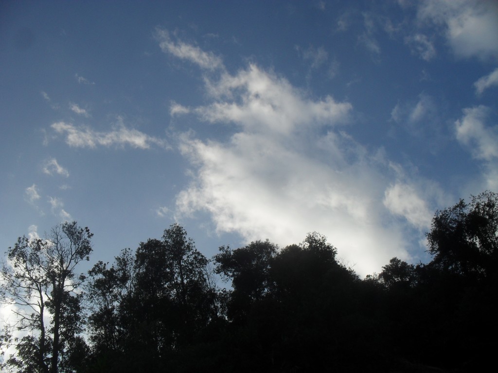 SDC12517_zps52453fef.jpg