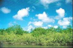 image035_.gif
