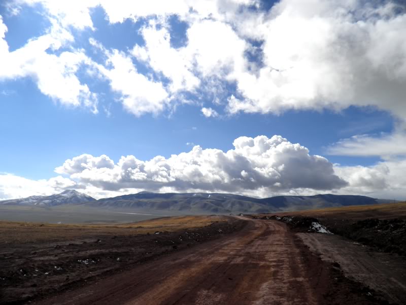 P7010375.jpg