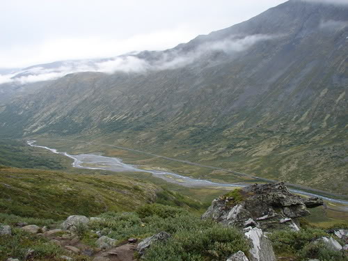 DSC09929.jpg