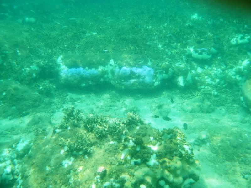 DSCF0111.jpg