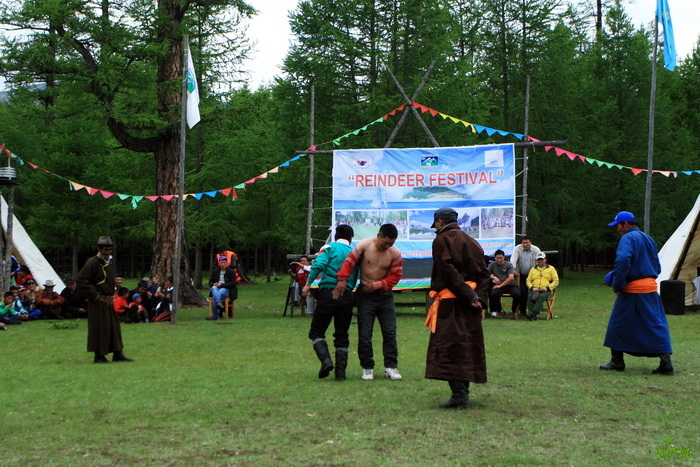 IMG_7133_zpsede7b851.jpg