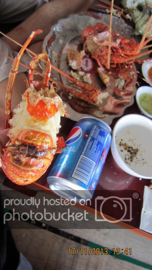 IMG_7907_zps6585e423.jpg