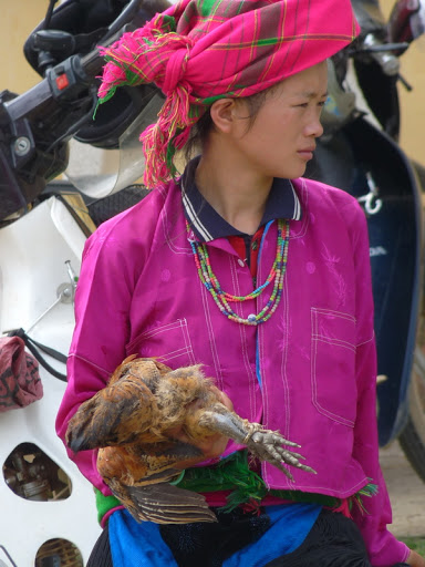 P1010866.JPG