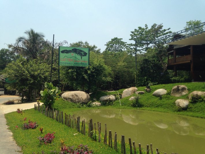 image-jpg.447872