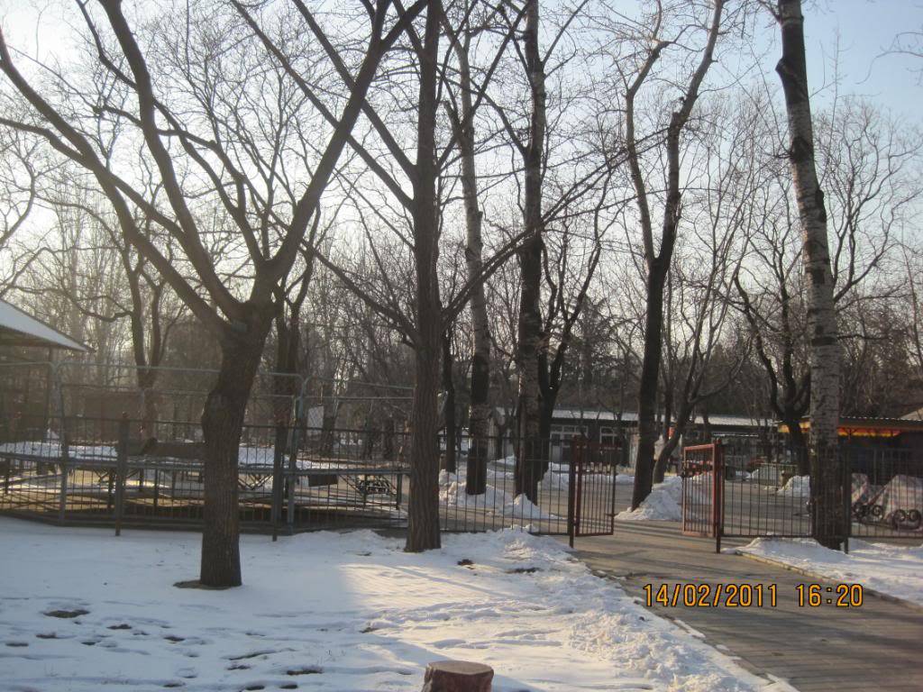 IMG_6020.jpg