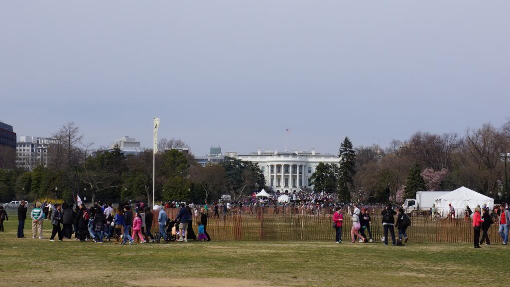 DSC05825_zps4c228952.jpg