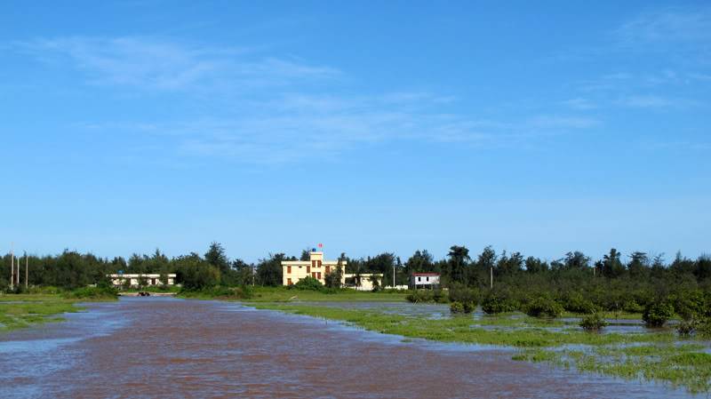IMG_8428.jpg