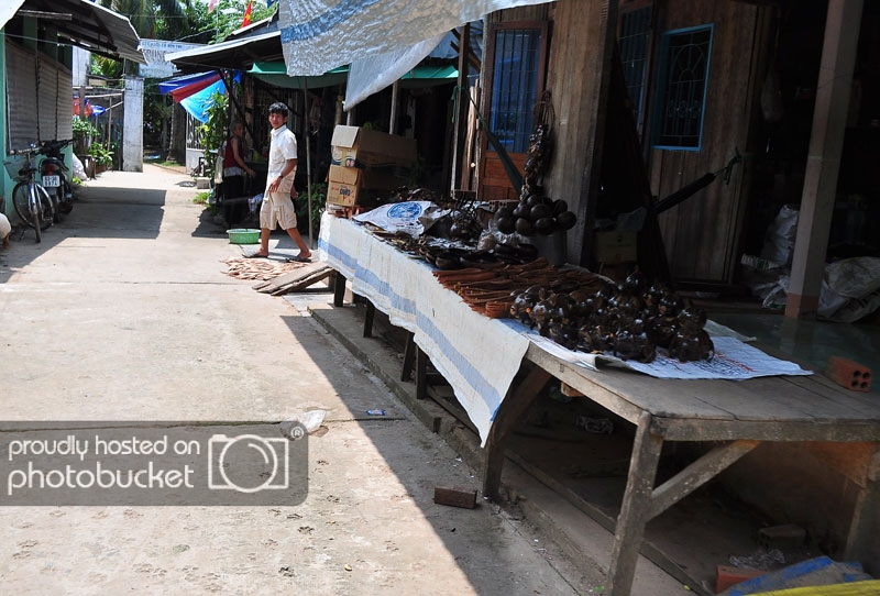 DSC_7633_zps854f46e7.jpg