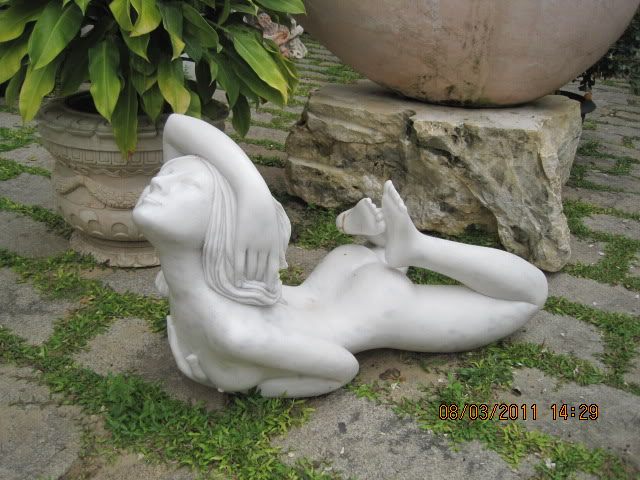 IMG_6599.jpg