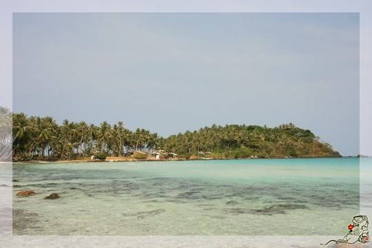 090703_IMG_7584.jpg
