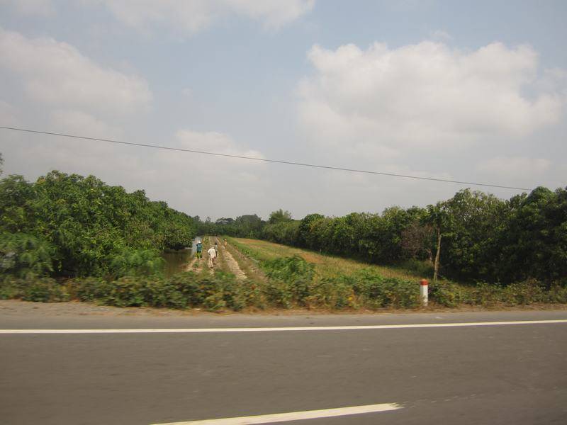 IMG_1071_zps8d018757.jpg