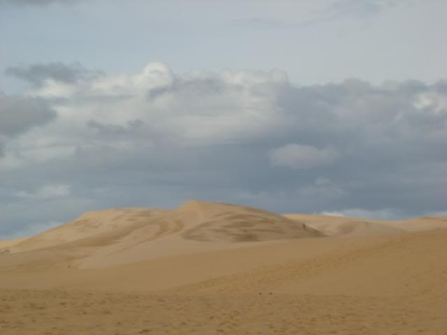 DSC00131.jpg