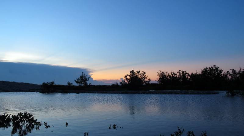 IMG_8105.jpg