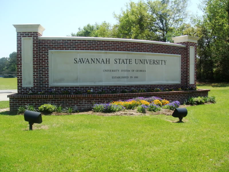SAV_lastday39.jpg