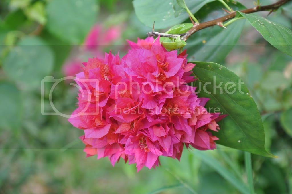 DSC_5062.jpg