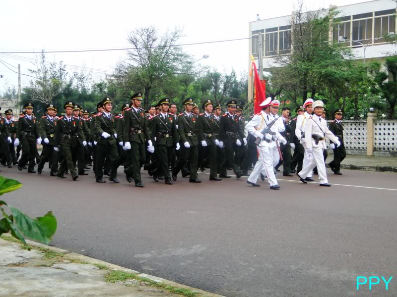 DSC04499800x600.jpg