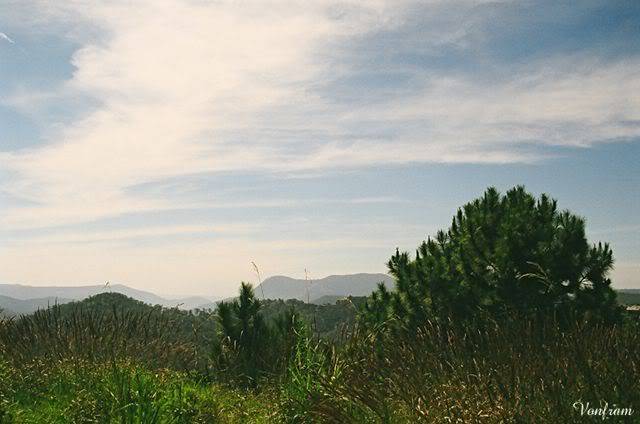00045-25.jpg