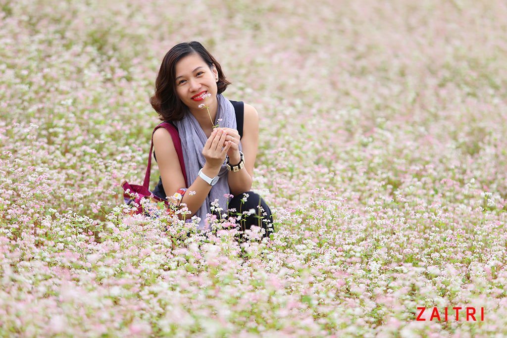 chup-anh-hoa-tam-giac-mach-Lu-Than.jpg