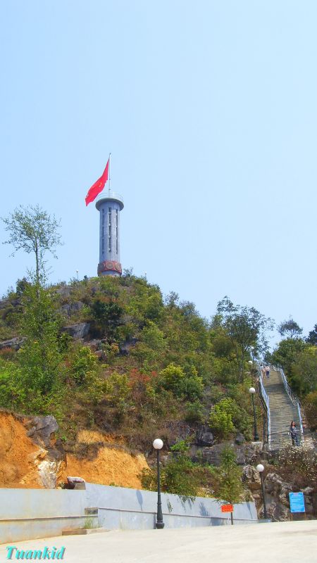 SDC16448.jpg