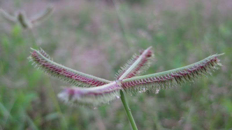 IMG_4551.jpg