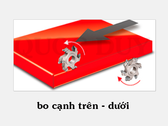 bo-cnh-tren-duoi.jpg