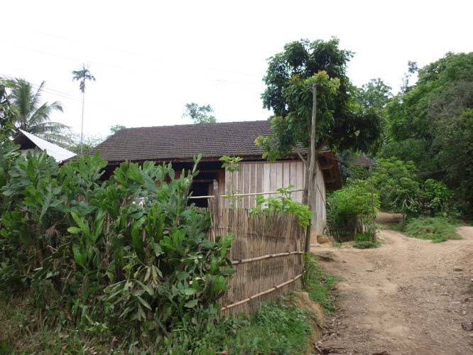 P1300611.jpg