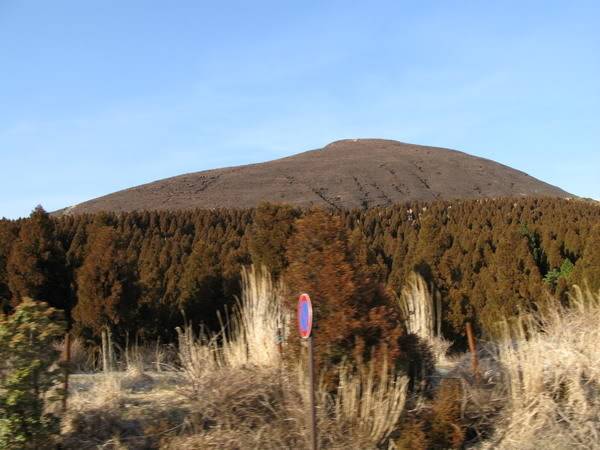 IMG_1168_resize.jpg