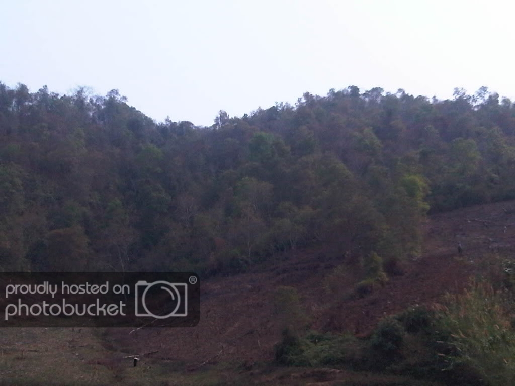 IMG00420-20120304-1007.jpg
