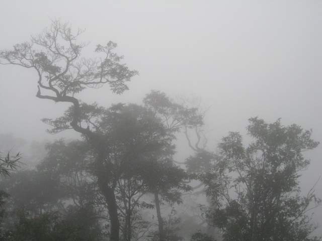 20110105115611_IMG_2785.JPG