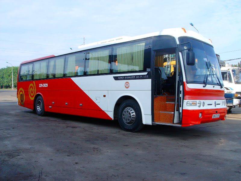 SANY0153.jpg