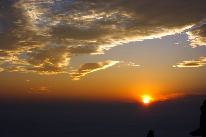 DPP_0696.jpg