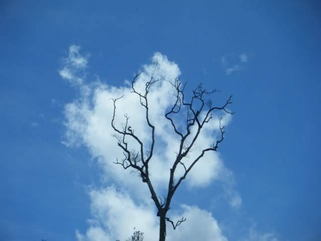 DSCF0471.jpg